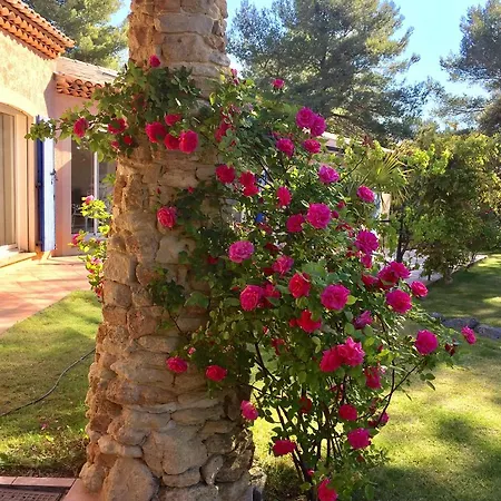 Mas La Pinede Сasa de vacaciones